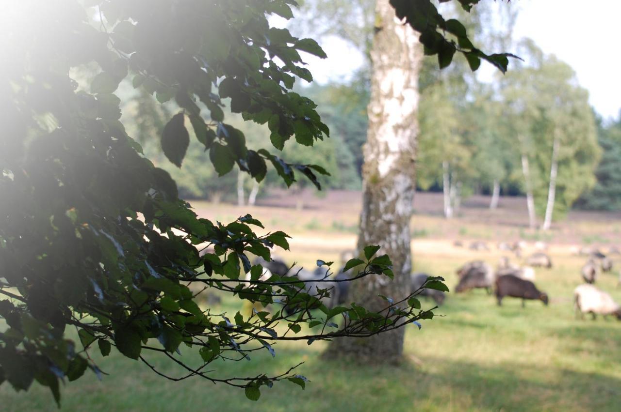 Heide Apartments Schneverdingen Zewnętrze zdjęcie